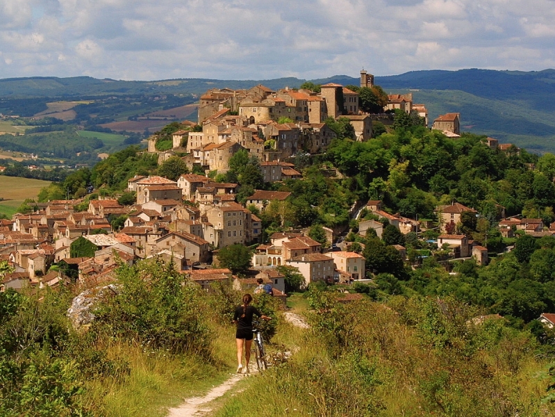 Le Cluster des territoires résilients Newport Consulting